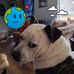 Mike Quick - Facebook