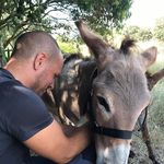 Michael Raco - @mediterranean_style_lovers - Instagram