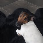 Michael Raczkowsky - @michaelraczkows - Instagram