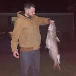 Michael Radich - @mic.haelrad - Instagram