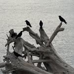 Michael Ragen - @ragendp - Instagram