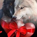 Michael Raith - @raith708 - Instagram