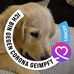 Michael Rakow - Facebook