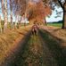 Michael Rambow - Facebook