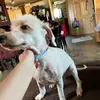 Michael Ramey - @michael.ramey1 - TikTok
