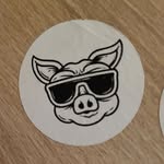 Michael Ramsbacher - @mramsbacher93 - Instagram
