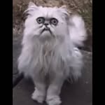 Michael Randall - @michaelrandall77 - Instagram