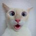 Michael Ranke - Facebook