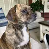 michaelrankin242 - @michaelrankin242 - TikTok