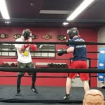 Michael Raponi - @king_raponi - Instagram