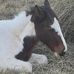 Michael Rascoe - Facebook