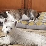 Michael Ratty - @mikeratty122 - Instagram