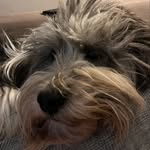 Michael Ratz - @michael_r1200gs - Instagram