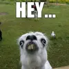 Michael Ratza - @michaelratza - TikTok