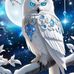 Michaela Ravens - Facebook