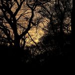 Michael Rawlings - @rawlingsphotos - Instagram