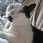 Michael Rawlings - @ohshootamichael - Instagram