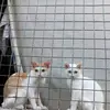 Michael Raya - @michael.raya42 - TikTok