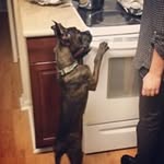 Michael Rayfield - @rayfieldmichael - Instagram