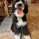 Michael Raynor - @michaelraynor6 - Instagram