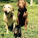 Michael Reams - @michael.reams79 - Instagram
