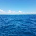 Michael Reams - @reams.michael - Instagram