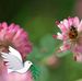 Michael Rebello - Facebook