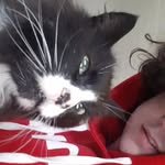 Michael Rector - @michaelrectorslife - Instagram