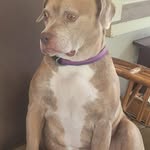 Michael Rector - @michael.rector2 - Instagram