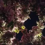 Michael Rector - @michael_istall - Instagram