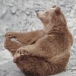 Michael Rector - @bearzifi - Instagram
