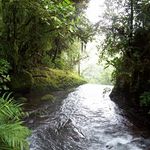 Michael Redding - @michael.redding.98 - Instagram