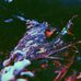 Michael Redinger - Facebook