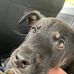 Michael Ree - Facebook