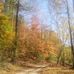 Michael Reed - Facebook