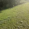 Michael Reegan - @michael.reegan - TikTok