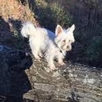 Michael Reffett - @kyriffraff - Instagram