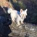 Michael Reffett - Facebook