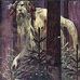 Mike Regula - Facebook