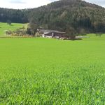 Michael Reischer - @michaelreischer - Instagram