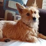 Michael J Reisman - @reisman.mj - Instagram