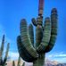 Michael Reisman - Facebook