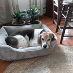 Michael Reisman - @reisman7509 - Instagram