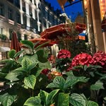 Michael Reitano - @asgjemateju - Instagram