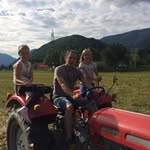 Michael Reiter - @runner2401 - Instagram