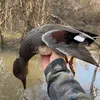 Michael Lenderman - @michael0804 - TikTok