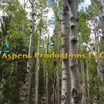 michael renken - @42aspens - Instagram