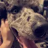 Michael - @michael.repasky - TikTok
