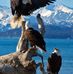 Michael Resch - Facebook