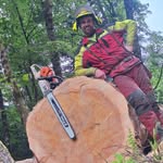 Michael Resch - @holz_michel24 - Instagram